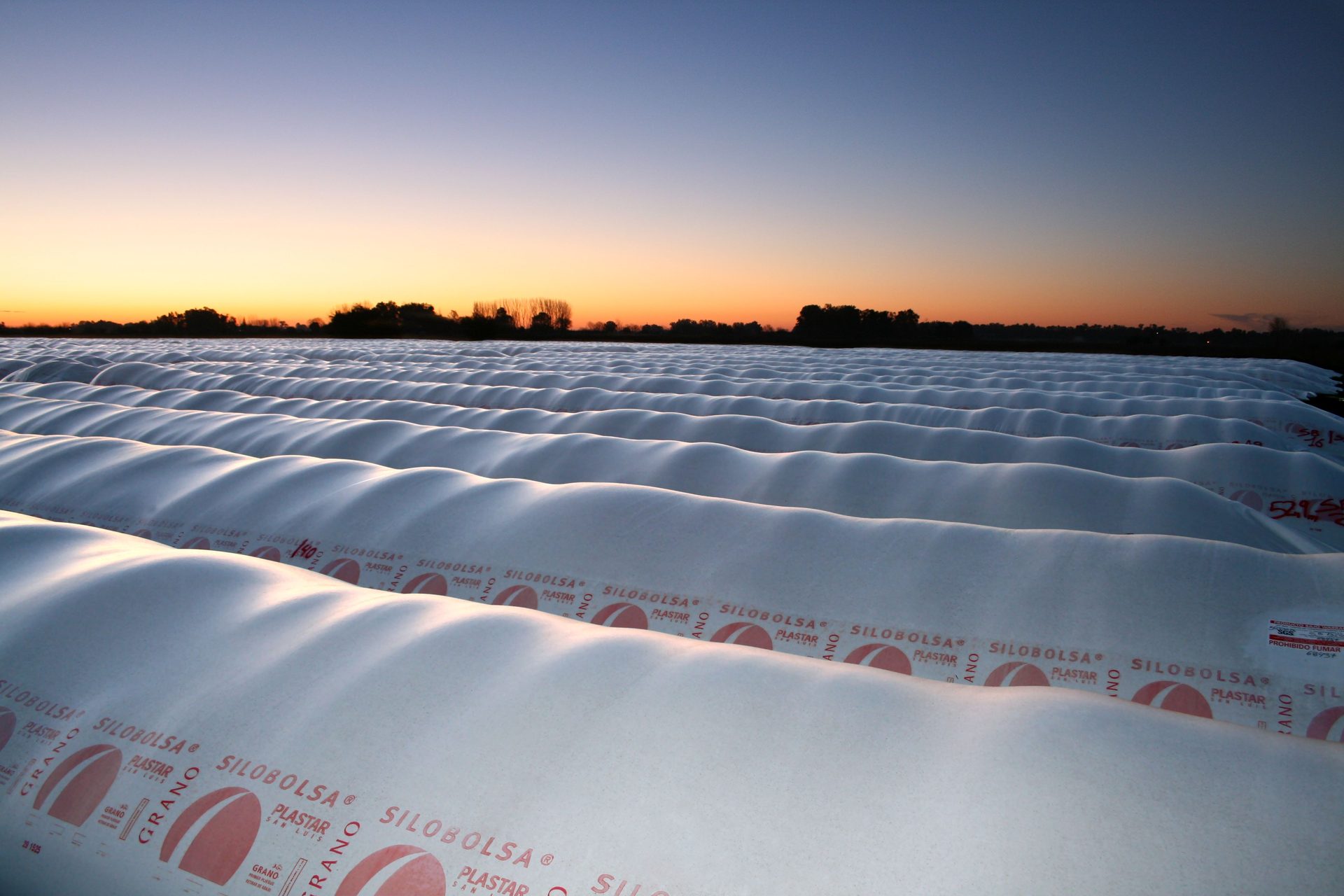 Silobolsas PLASTAR al atardecer